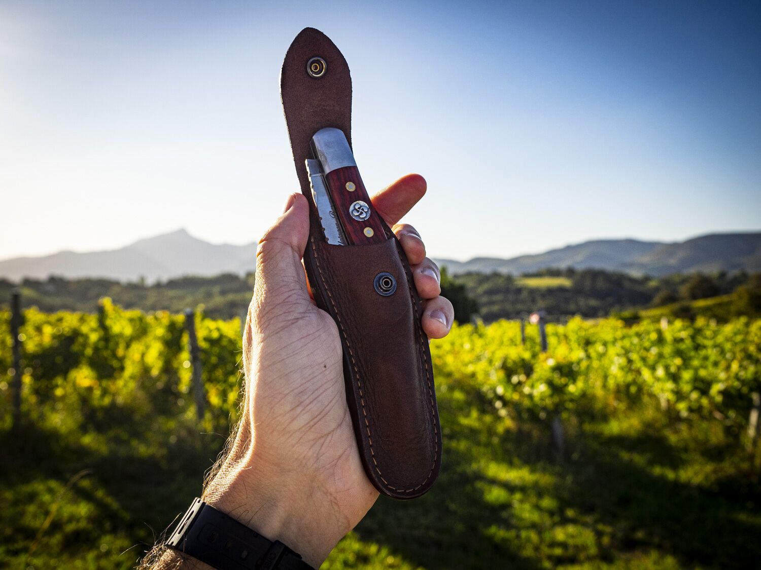 Photographies - Web - Étuis - La Civette (15 sur 17)