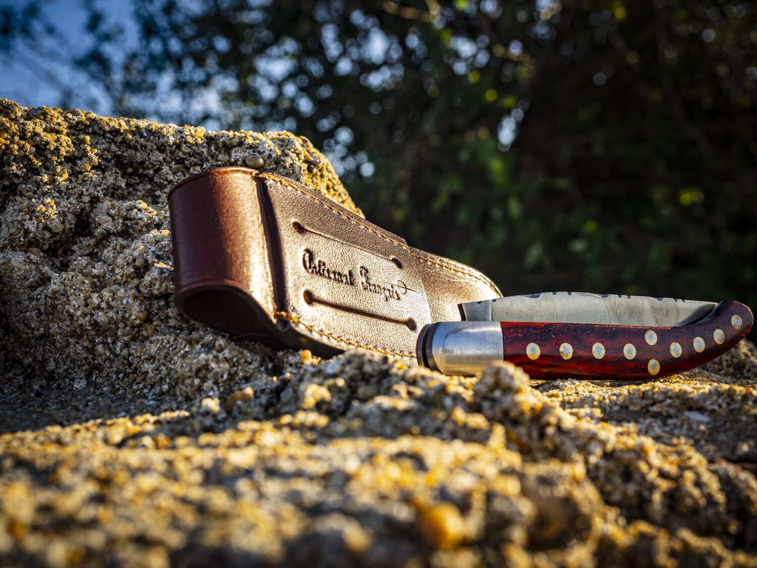 Photographies - Web - Étuis - La Civette (17 sur 17)