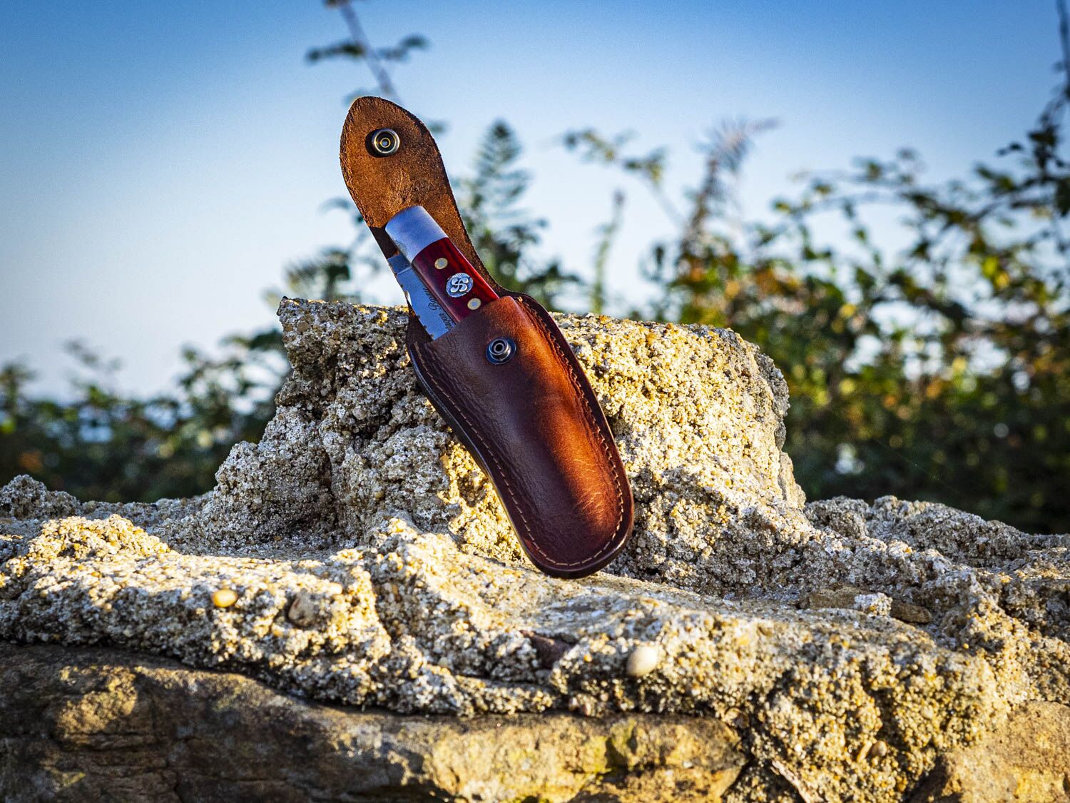 Photographies - Web - Étuis - La Civette (7 sur 17)