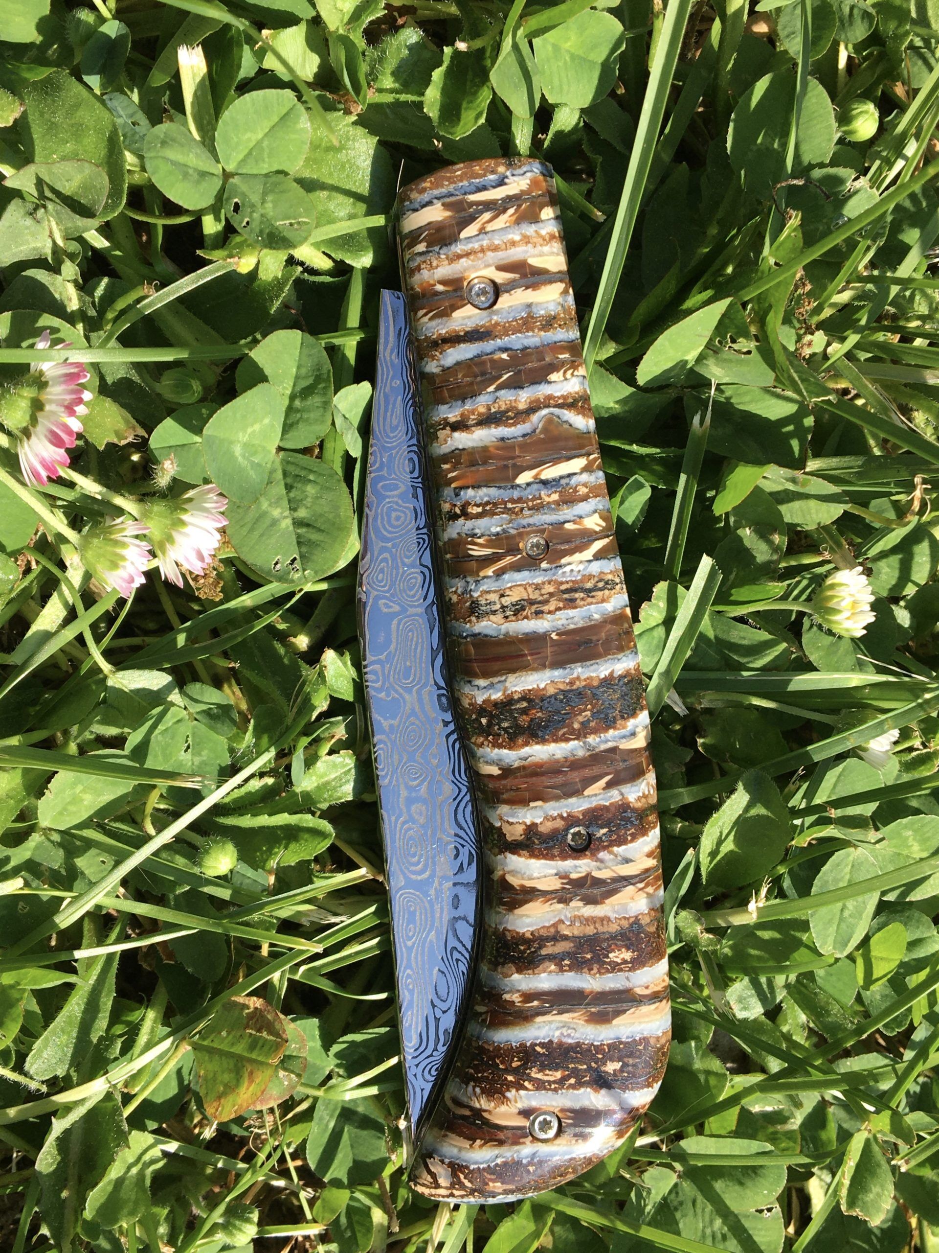 Couteau lailloux - Molaire - Mammouth - Maxime Surjous - Coutellerie La Civette - Saint Jean de Luz - Pays Basque