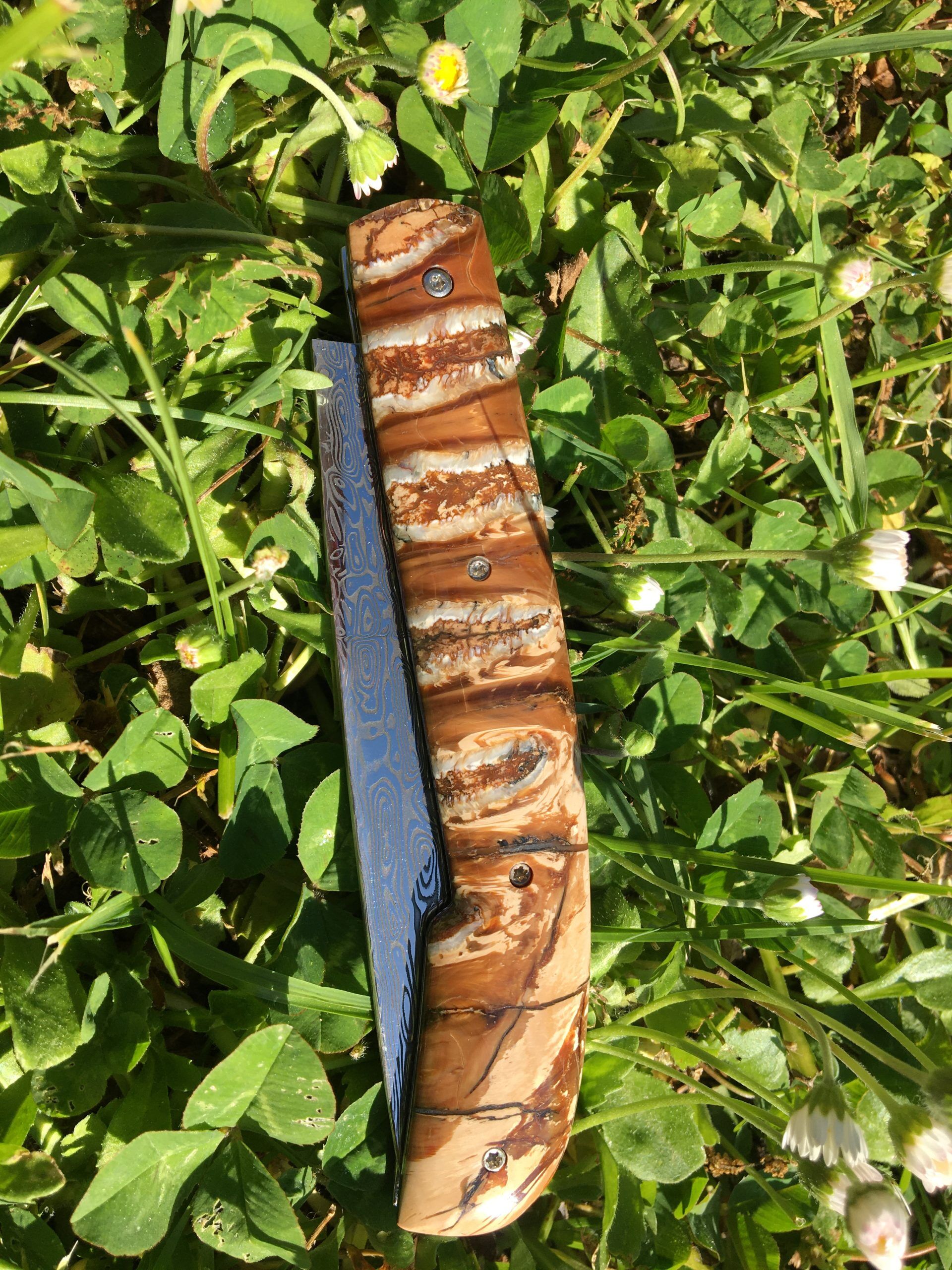 Couteau opposum - Molaire - Mammouth - Maxime Surjous - Coutellerie La Civette - Saint Jean de Luz - Pays Basque