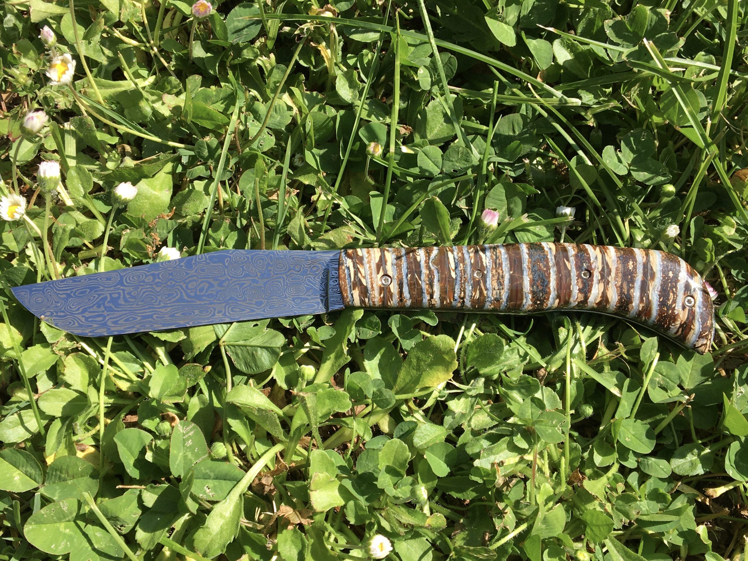 Couteau lailloux - Molaire - Mammouth - Maxime Surjous - Coutellerie La Civette - Saint Jean de Luz - Pays Basque