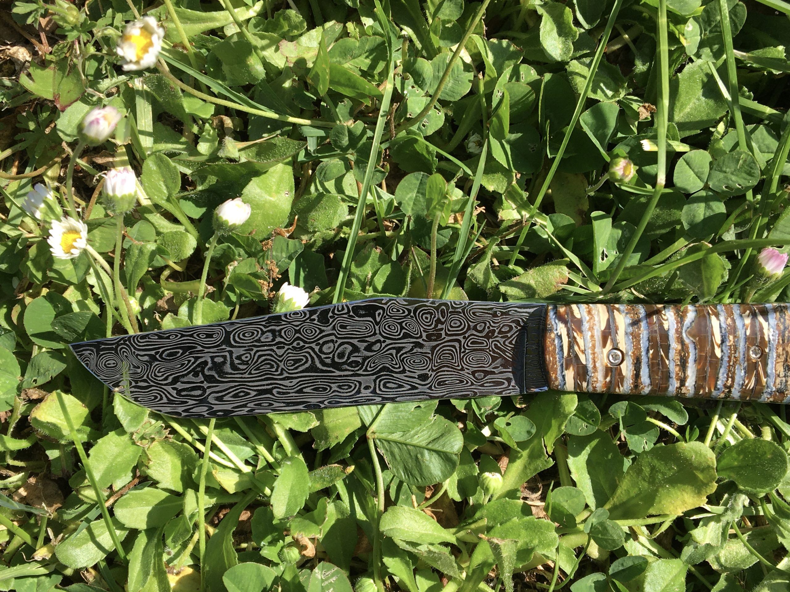 Couteau lailloux - Molaire - Mammouth - Maxime Surjous - Coutellerie La Civette - Saint Jean de Luz - Pays Basque