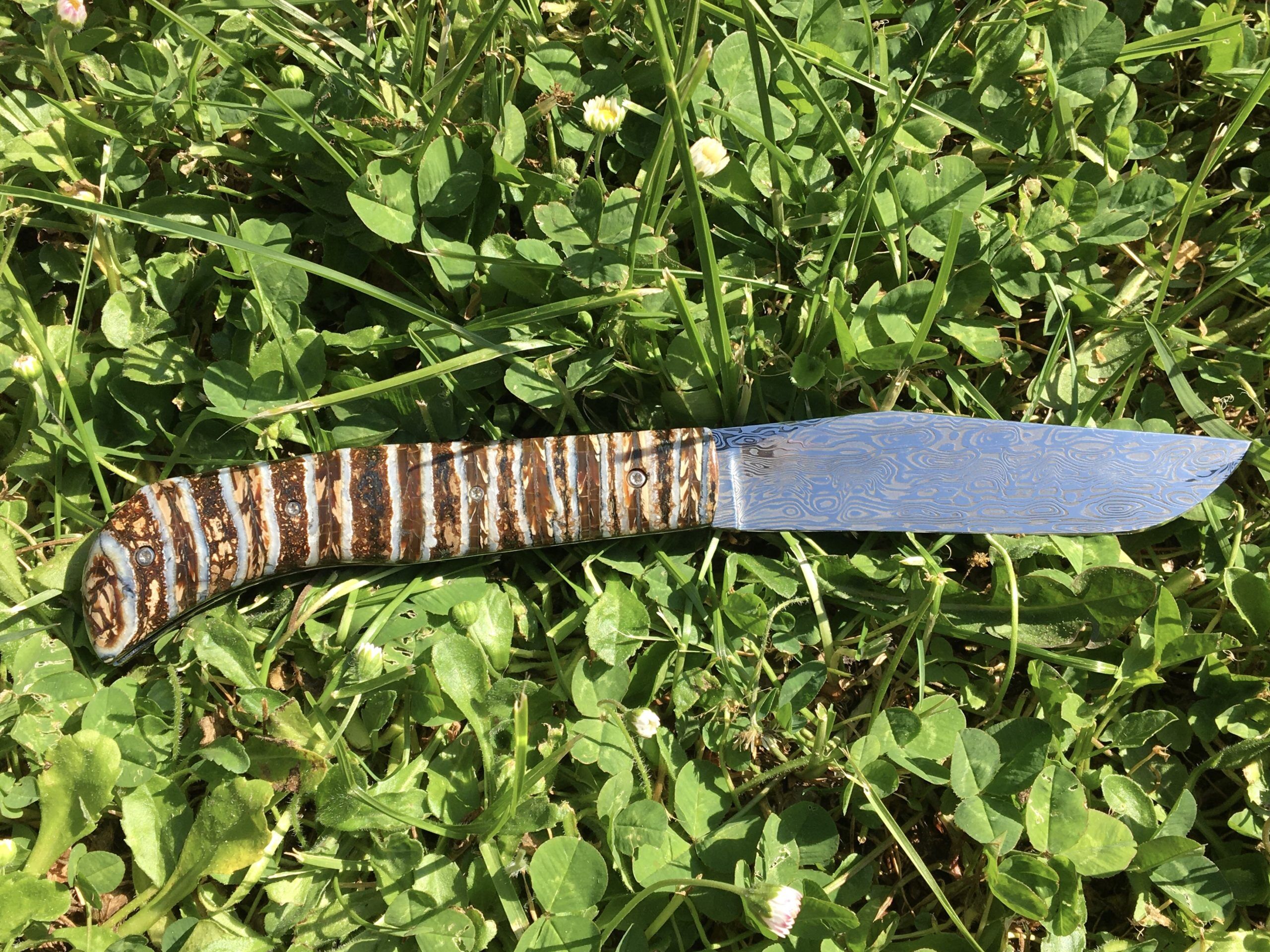 Couteau lailloux - Molaire - Mammouth - Maxime Surjous - Coutellerie La Civette - Saint Jean de Luz - Pays Basque