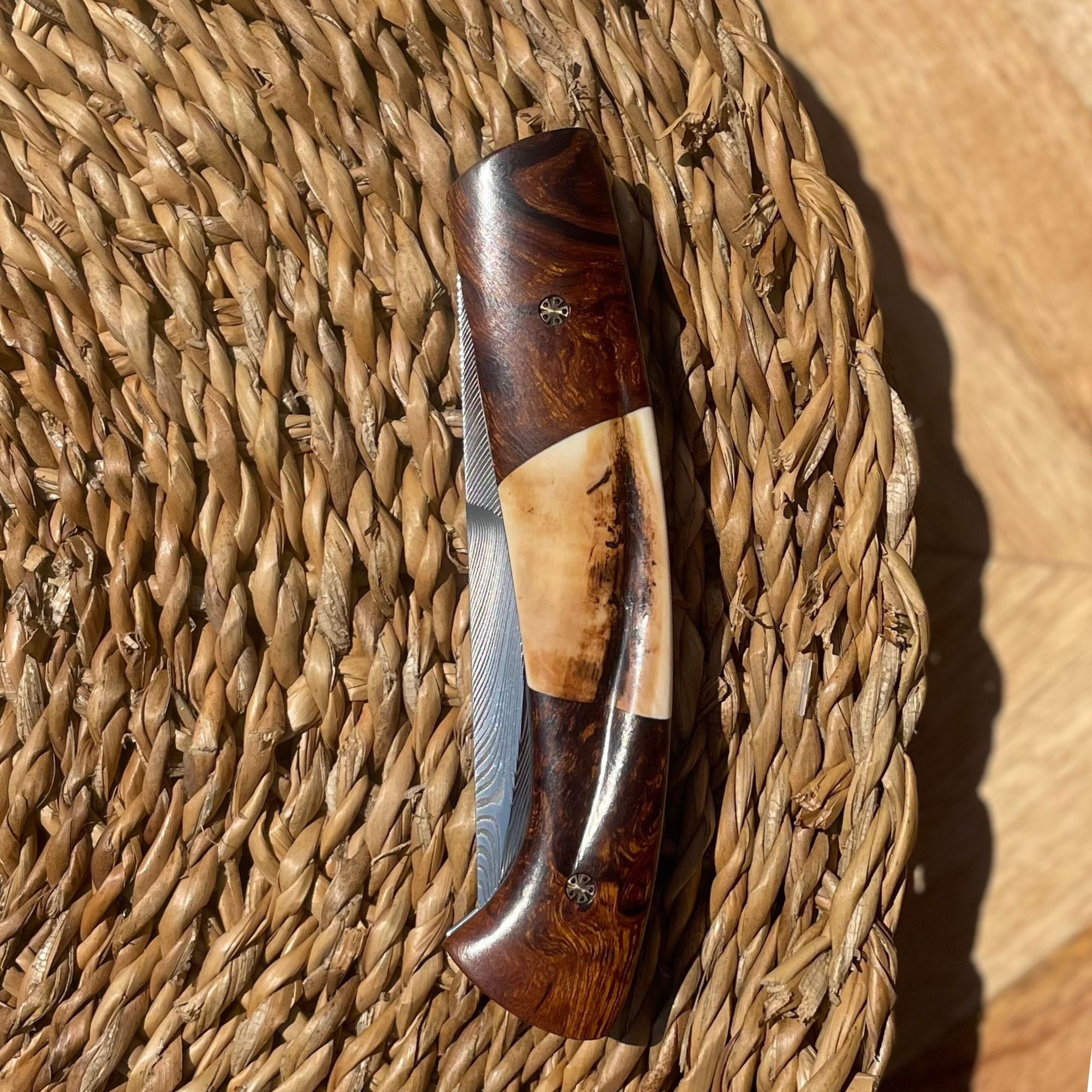 Le 1515 Trilogie "Bois de Fer/Phaco"