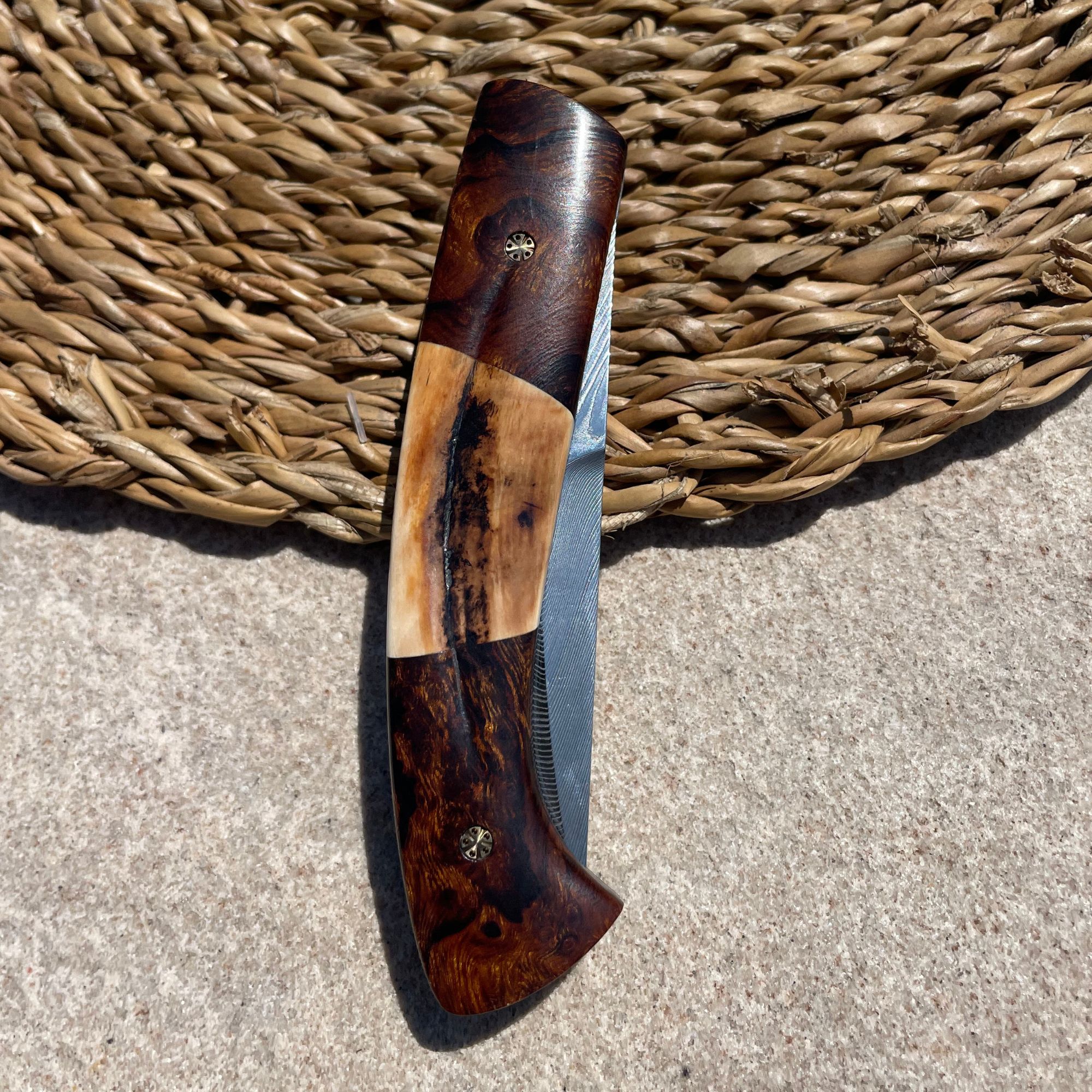Le 1515 Trilogie "Bois de Fer/Phaco" – Image 2