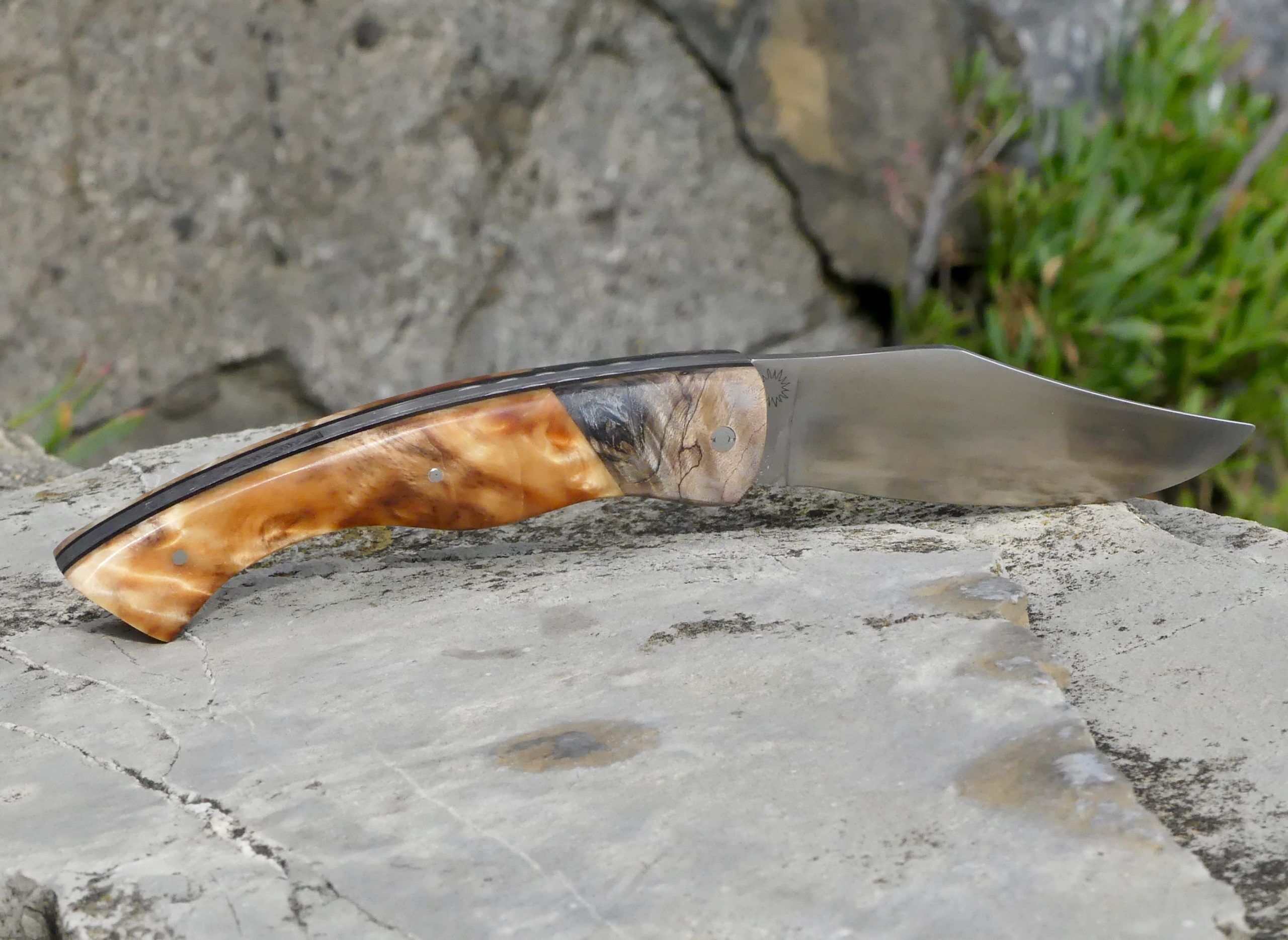 Kaskarot Loupe d'orme et Fourche Peuplier